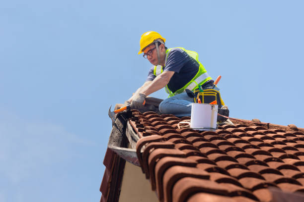 Roof Coating Services in Westwood Lakes, FL